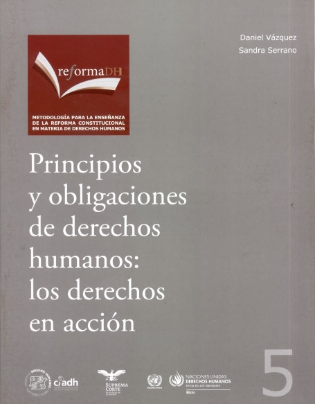 Principios y obligaciones de derechos humanos: los derechos en acción 
