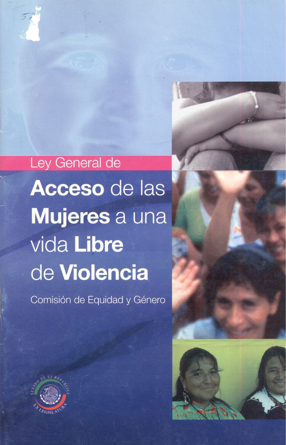 Ley General de Acceso de las Mujeres a una Vida libre de Violencia 