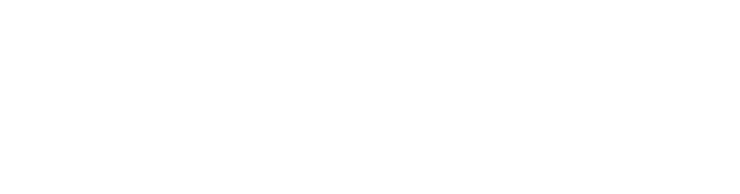 Logo Boletin Director
